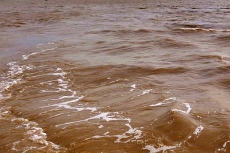 Đồng Tháp xả lũ vào đồng ruộng lấy phù sa