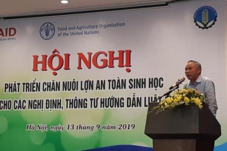 Cân nhắc việc tái đàn lợn nếu đảm bảo chăn nuôi an toàn sinh học