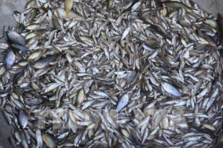 Người dân đầu nguồn đón lũ muộn