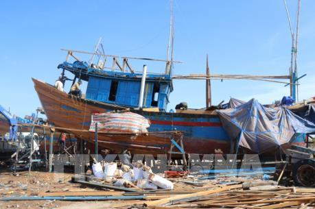 Bộ Nông nghiệp và Phát triển nông thôn sẽ kiểm tra thực tế việc ngư dân tự hoán cải tàu cá