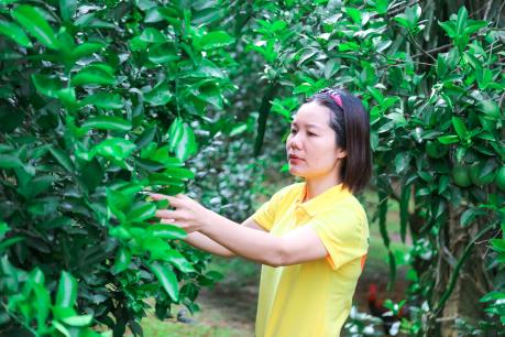 Diện mạo mới cho khu vực kinh tế tập thể