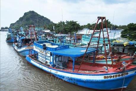Khắc phục "thẻ vàng" IUU: Khắc phục điểm yếu để thủy sản lấy lại thẻ xanh