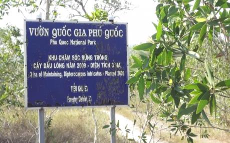 Vườn quốc gia Phú Quốc Khám phá hệ sinh thái đa dạng và thiên nhiên tuyệt đẹp