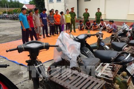 Tây Ninh phá tụ điểm đá gà và lắc tài xỉu ở vùng sâu gần khu vực biên giới