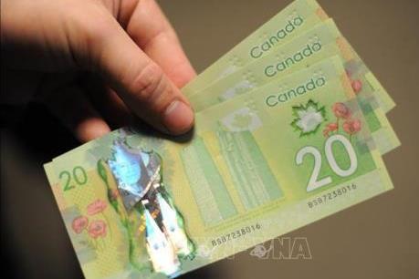 Ngân hàng trung ương Canada hạ lãi suất đối phó với “cú sốc” COVID-19