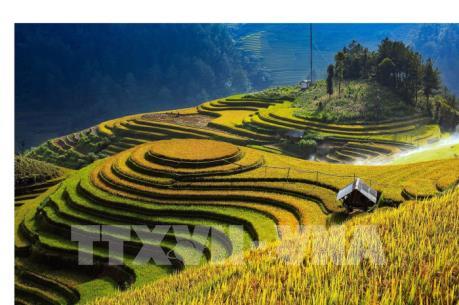 CNBC: Mù Cang Chải - Điểm du lịch tuyệt vời cho khách quốc tế