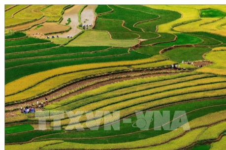 Phát triển du lịch sinh thái ở Yên Bái