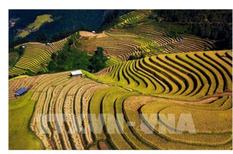 Yên Bái phấn đấu đón 2,3 triệu lượt khách du lịch năm 2025