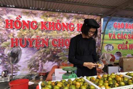 Khai mạc Tuần lễ nông sản sạch Bắc Kạn tại Hà Nội