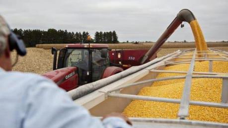 Phái đoàn Trung Quốc bất ngờ hủy chuyến thăm các trang trại của Mỹ