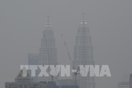 EU hỗ trợ  ASEAN sử dụng bền vững than bùn và giảm thiểu khói mù