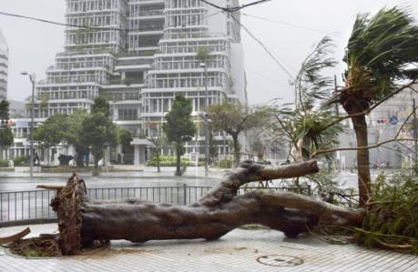 Bão Tapah gây mất điện trên diện rộng ở Nhật Bản