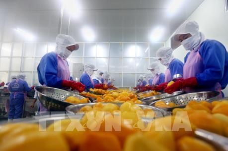 Sẽ có bộ chỉ số đánh giá kết quả thực hiện FTA hàng năm của các địa phương