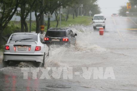 Gần 250 chuyến bay ở Hàn Quốc bị hủy do bão Tapah