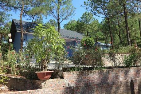 Kỷ luật hàng loạt cán bộ liên quan đến sai phạm đất rừng Sóc Sơn