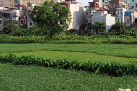 Sai phạm trong quản lý nhà nước về đất đai và môi trường tại tỉnh Thái Bình