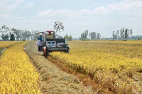 Liên kết vùng - Thách thức từ “mạnh ai nấy làm”
