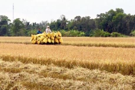 Xây dựng nông thôn mới phù hợp với xuất phát điểm của địa phương