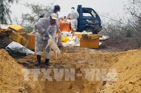 Phú Yên tiêu hủy hàng trăm kg thịt lợn không rõ nguồn gốc