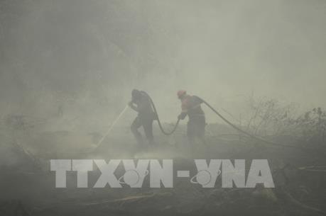 Indonesia sẽ chi thêm 113 triệu USD để dập tắt các đám cháy rừng