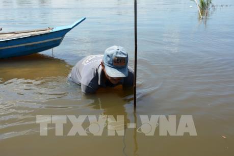Mưu sinh mùa lũ muộn - Bài 1: Khó khăn khi con nước về ít