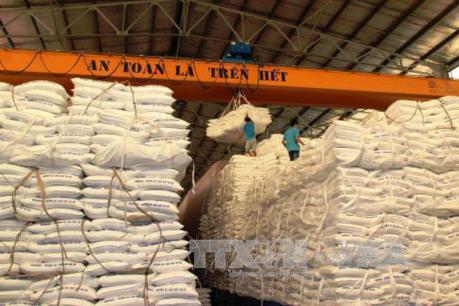 Đấu giá thí điểm hạn ngạch thuế quan nhập khẩu đường