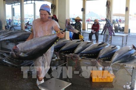 Hiệp định EVFTA: Cơ hội phục hồi xuất khẩu sản phẩm tôm, cá ngừ