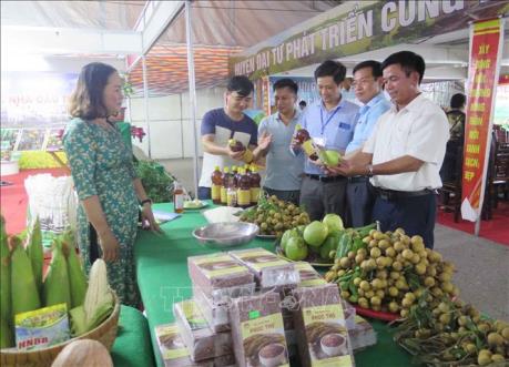 Trên 100 gian hàng tham gia phiên chợ kết nối giao thương sản phẩm OCOP