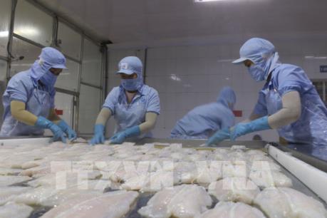 Hàng xuất nhập khẩu giữa Việt Nam và Israel có tính bổ sung