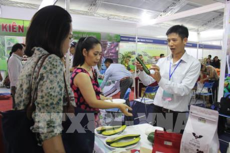 Xúc tiến đưa quả bơ vào thị trường Mỹ