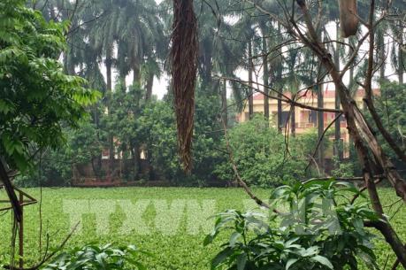 Cần chấm dứt tình trạng vi phạm, lấn chiếm khu ao cá Bác Hồ