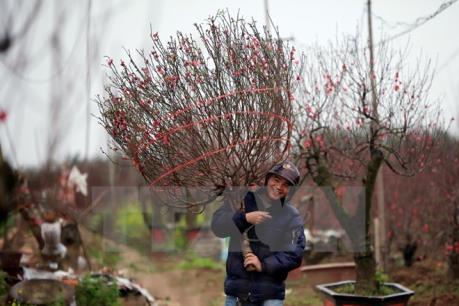Thủ tướng chốt 7 ngày nghỉ Tết Nguyên đán Canh Tý 2020