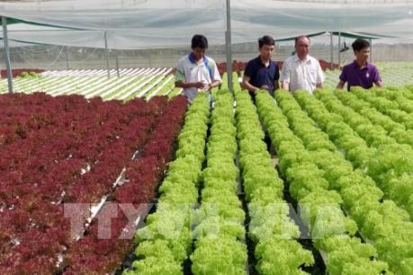 Xây dựng nông thôn mới ở An Giang: Một số chỉ tiêu đạt nhưng thiếu bền vững