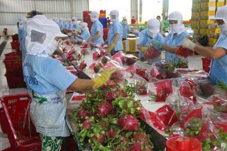 EVFTA- Bài 2: Xúc tiến thương mại chuyên sâu để tận dụng cơ hội