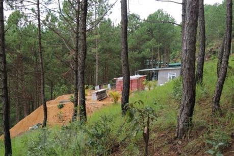 Lâm Đồng: Giải tỏa khu vực bị phân lô bán đất rừng trái phép tại Đà Lạt