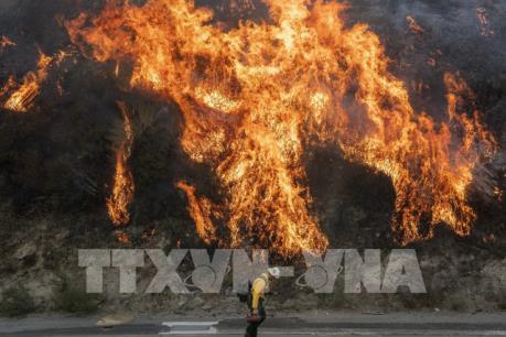100.000 người phải sơ tán vì cháy rừng lan rộng ở bang California