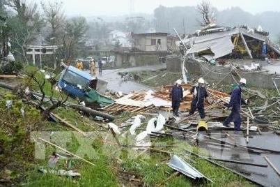 Siêu bão Hagibis: Có 2 thủy thủ Việt Nam trên tàu hàng Panama bị chìm