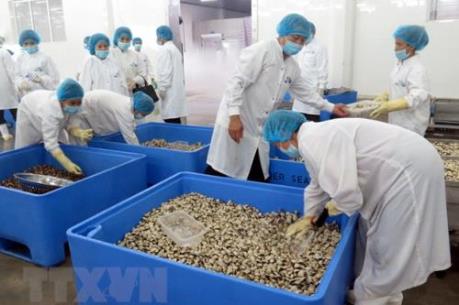 Thêm 3 loại thủy sản của Việt Nam được phép xuất khẩu vào Trung Quốc