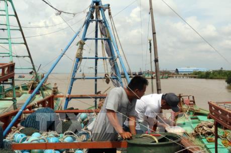 Giá nhiên liệu cao khiến chi phí đi biển của ngư dân tăng từ 20-25%