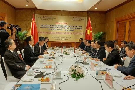 Việt Nam – Trung Quốc thúc đẩy hợp tác chế biến và thương mại nông sản