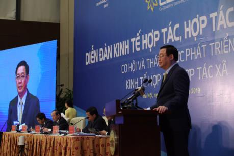 Cầu nối quan trọng giữa doanh nghiệp và nông dân trong tiêu thụ sản phẩm