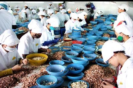 Việt Nam - Nam Phi tạo sự gắn kết mở rộng thị trường xuất khẩu