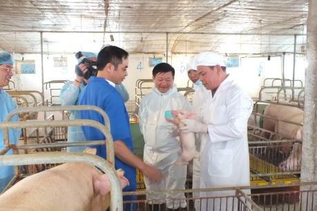 Bộ trưởng Nguyễn Xuân Cường: Chăn nuôi an toàn sinh học có thể tái đàn lợn