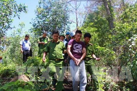 Lâm Đồng kỷ luật người đứng đầu đơn vị vì thiếu trách nhiệm vụ phá rừng