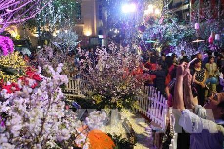 Sắp diễn ra Lễ hội Hoa anh đào Nhật Bản lần thứ 5 tại Hà Nội