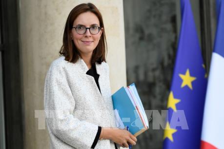 Pháp sẵn sàng gia hạn "kỹ thuật" vài ngày đối với tiến trình Anh rời EU