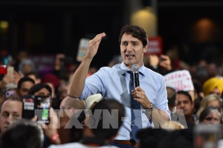 Thủ tướng Canada bác khả năng thành lập chính phủ liên minh