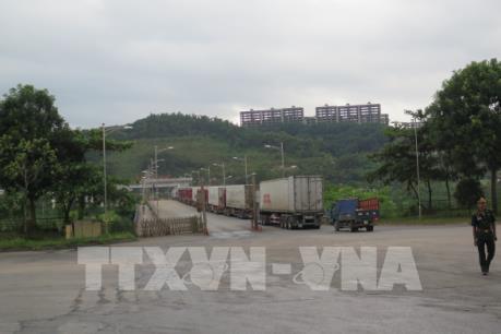 Tình trạng ùn tắc xe chở thanh long tại cửa khẩu Lào Cai đã được giải quyết?