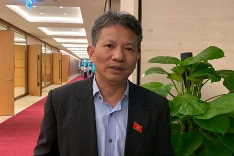 Bên lề Quốc hội: Lựa chọn nhà đầu tư đáp ứng yêu cầu cho dự án sân bay Long Thành