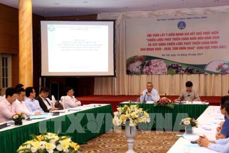 Bộ NN & PTNT lấy ý kiến về việc thực hiện chiến lược phát triển chăn nuôi
